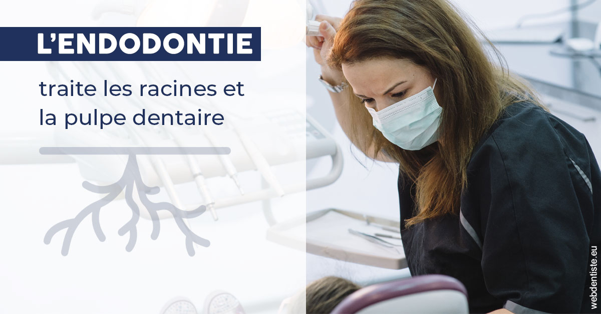 https://dr-bulthe-pierre.chirurgiens-dentistes.fr/L'endodontie 1