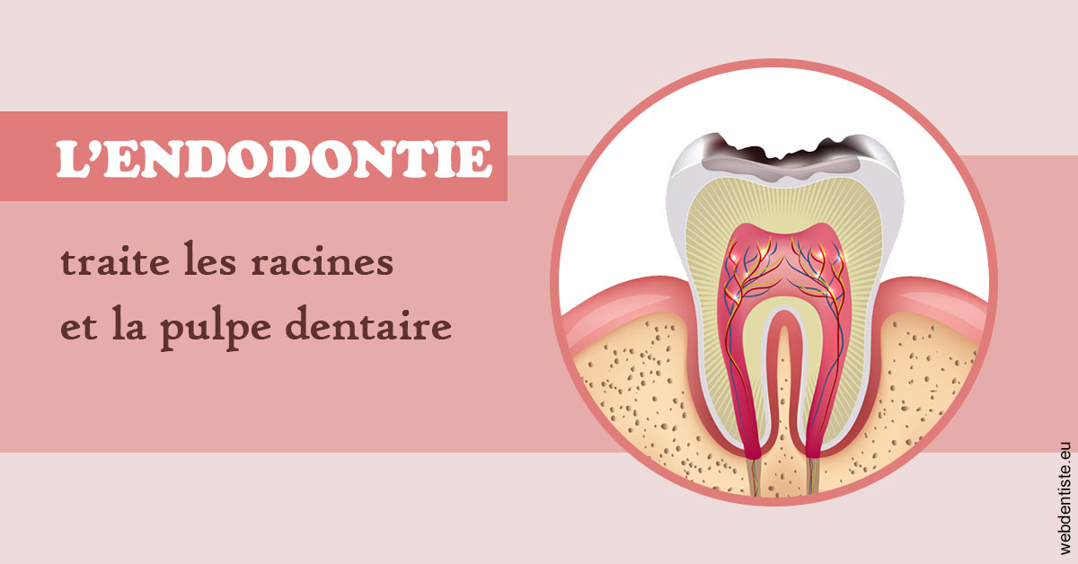 https://dr-bulthe-pierre.chirurgiens-dentistes.fr/L'endodontie 2