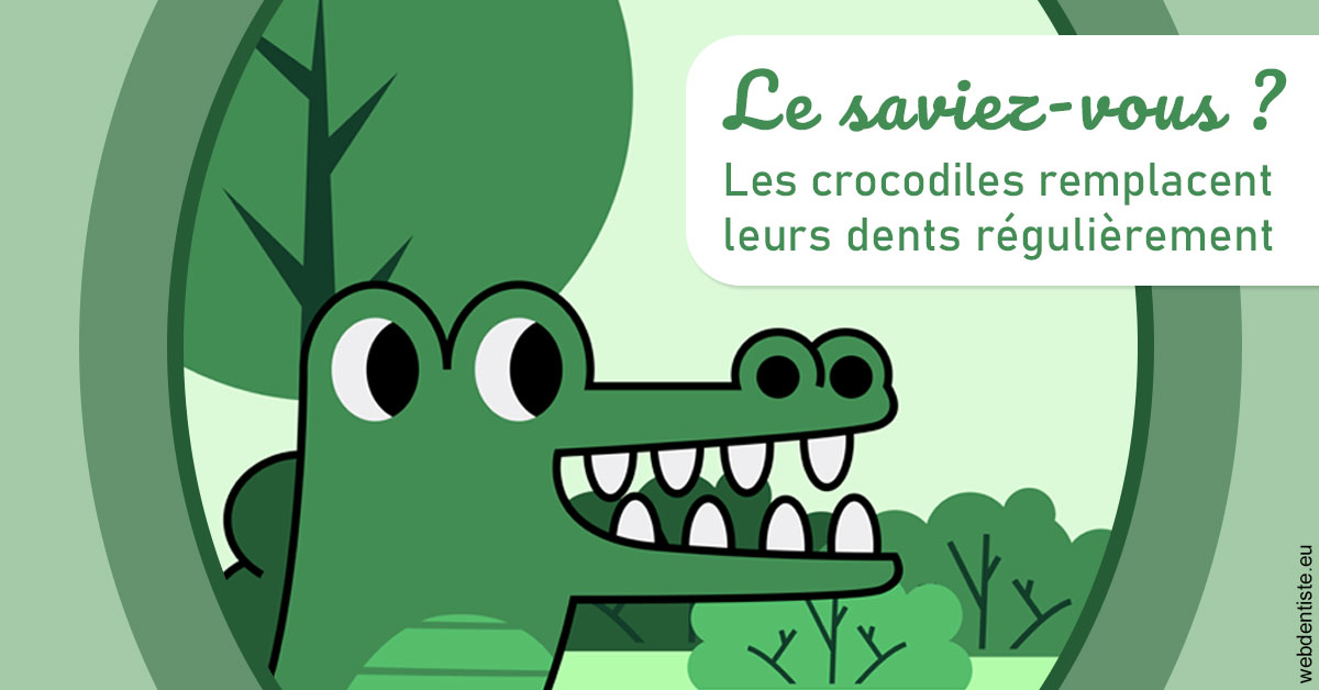 https://dr-bulthe-pierre.chirurgiens-dentistes.fr/Crocodiles 2